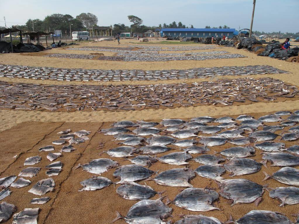 Zand Negombo Ettukala Bagian luar foto